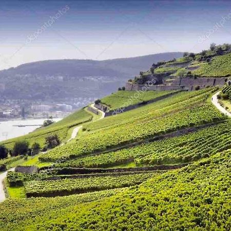 1.0 Relaxen Am Kloster Johannisberg Geisenheim Ngoại thất bức ảnh